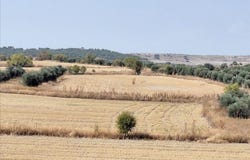 Valdemoro, Community of Madrid