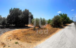 Tarragona, Catalonia 43460