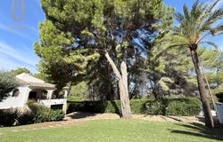 Jávea, Valencian Community 03738