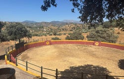 Monda, Andalusia 29110
