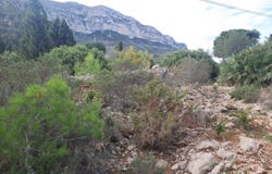 Denia, Valencian Community 03700