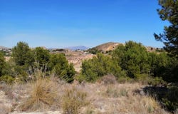 Alicante/Alacant, Valencian Community