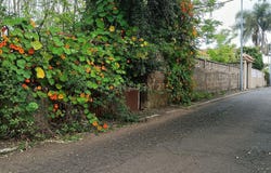 San Cristóbal de La Laguna, Canary Islands
