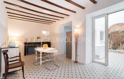 Pego, Valencian Community 03780