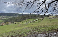Villaescusa (Cantabria), Cantabria 39690