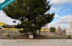 Almansa, Castile-La Mancha 02640