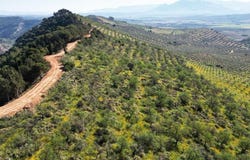 Archidona, Andalusia 29300