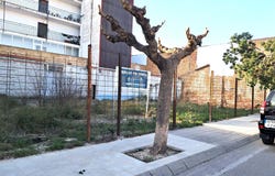 Tarragona, Catalonia 43570
