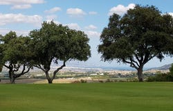 Alhaurín de la Torre, Andalusia 29601