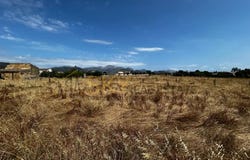 Inca, Balearic Islands 07300