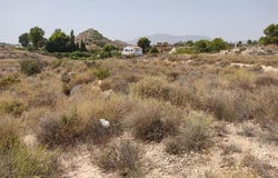 Agost, Valencian Community