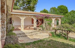 Altafulla, Catalonia 43893