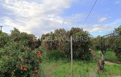 Dénia, Valencian Community 03700