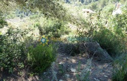 Oliva, Valencian Community 46780