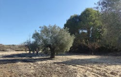 Torremendo, Alicante 03313