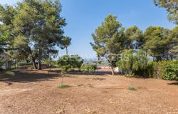 Torrent, Valencian Community 46900