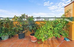 Málaga, Andalucía