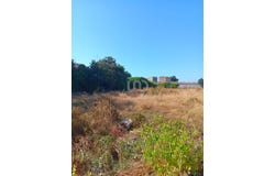 Tarragona, Catalonia 43500