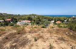 Dénia, Valencian Community 03700