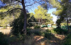 Denia, Valencian Community 03700