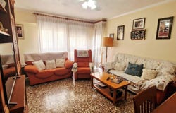 Almoradí, Valencia 03160