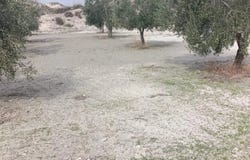 Castilléjar, Andalusia 18818
