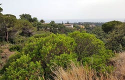 Elviria, Andalusia 29604
