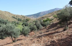 Mijas, Andalusia