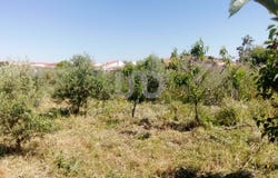 Badajoz, Extremadura 06927