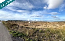Monovar, Valencian Community 03640