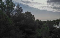 Elviria, Andalucía