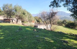 Gaucín, Andalusia 29480