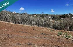 Palmas De Gran Canaria, Canary Islands 35018