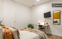 barcelona, Catalonia 08037