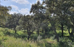 Sotogrande, Andalusia 11310