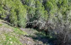 Callosa d'en Sarrià, Valencian Community 03599