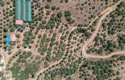 Monda, Andalusia 29110