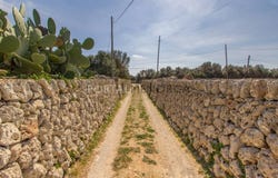 Es Castell, The Balearic Islands 07720