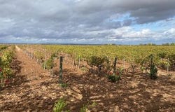 Albacete, Costa Blanca (alicante)