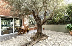 Arenys de Munt, Catalonia 08358
