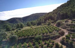 Orba, Valencia 03790