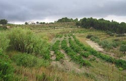 Teulada, ALICANTE