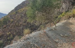 Molvízar, Andalusia 18611