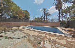 Elche/Elx, Valencian Community