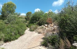 Benigánim, Valencian Community