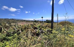 Tacoronte, Canary Islands