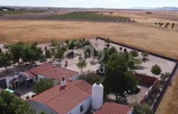 Alcázar de San Juan, Castilla le Mancha 13600