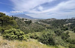 El Madroñal, Andalusia 29678