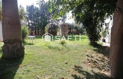 Montijo, Extremadura 06480