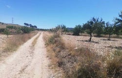 Abanilla, Region of Murcia